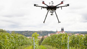 Bundesministerium für Ernährung und Landwirtschaft