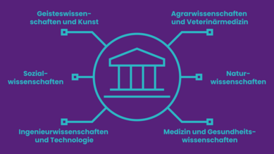 Grafische Darstellung zu den Wissenschaftszweigen in der staatlichen Forschung und Entwicklung. Aufgelistet sind: Naturwissenschaften, Ingenieurwissenschaften und Technologie, Medizin und Gesundheitswissenschaften, Agrarwissenschaften und Veterinärmedizin, Sozialwissenschaften sowie Geisteswissenschaften und Kunst. Im Mittelpunkt sieht man ein Behördengebäude mit Strichen zu den einzelnen aufgelisteten Punkten.