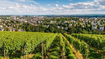 Bundesinstitut für Bevölkerungsforschung