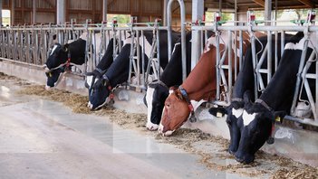 Bundesministerium für Ernährung und Landwirtschaft