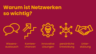 Grafische Darstellung der fünf Hauptvorteile des Netzwerkens: Wissensaustausch, Karrierechancen, innovative Lösungen, persönliche Entwicklung und Unterstützung. Die fünf Hauptvorteile werden als Icons im Hintergrund dargestellt: Zwei sich überlappende Sprechblasen für Wissensaustausch, Treppe mit einem Aufwärtspfeil für Karrierechancen, Zahnrad und Glühbirne für innovative Lösungen, eine menschliche Figur umgeben von nach außen zeigenden Pfeilen für persönliche Entwicklung, zwei sich haltende Hände für Unterstützung.